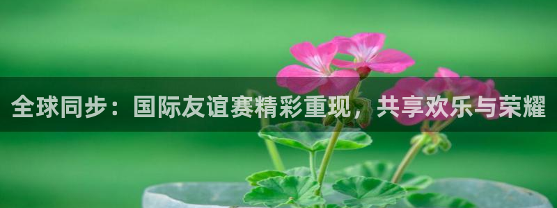 9255tv直播nba在线直播：全球同步：国际友谊赛精彩重现，共享欢乐与荣耀