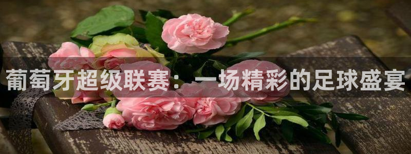 9255tv直播无插件nba：葡萄牙超级联赛：一场精彩的足球盛宴