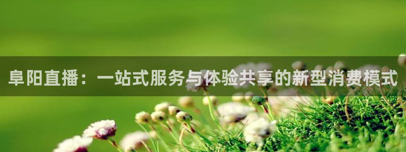 9255tv直播无插件nba：阜阳直播：一站式服务与体验共享的新型消费模式