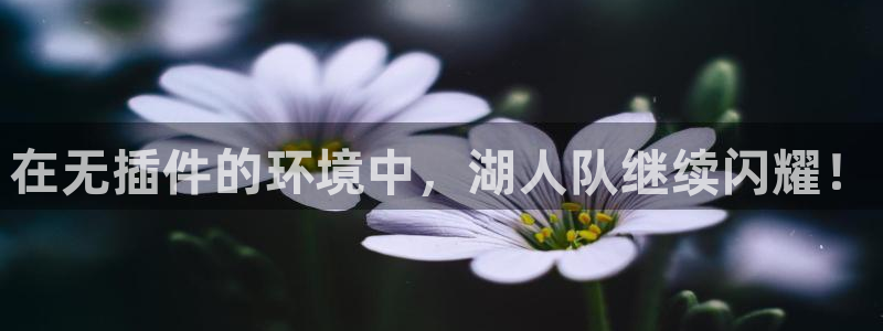 9255tv直播无插件nba：在无插件的环境中，湖人队继续闪耀！