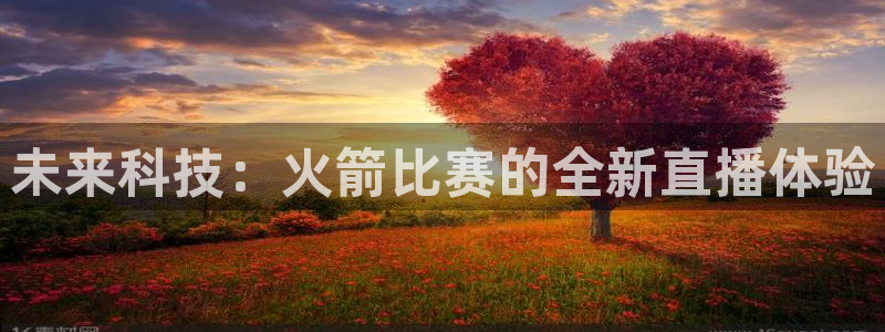 9255tv直播nba在线观看：未来科技：火箭比赛的全新直播体验