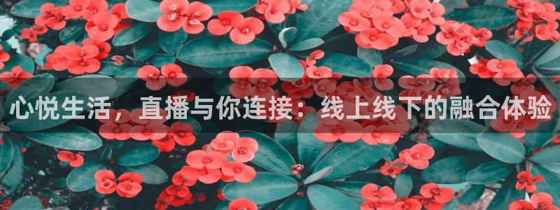 9255tv直播无插件nba：心悦生活，直播与你连接：线上线下的融合体验