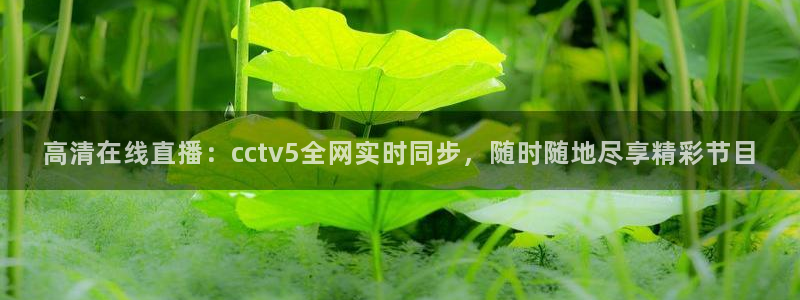 9255tv直播nba在线直播：高清在线直播：cctv5全网实时同步，随时随地尽享精彩节目