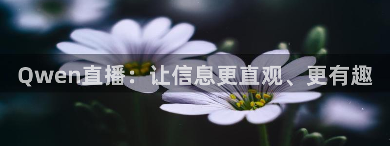9255tv直播无插件nba：Qwen直播：让信息更直观、更有趣