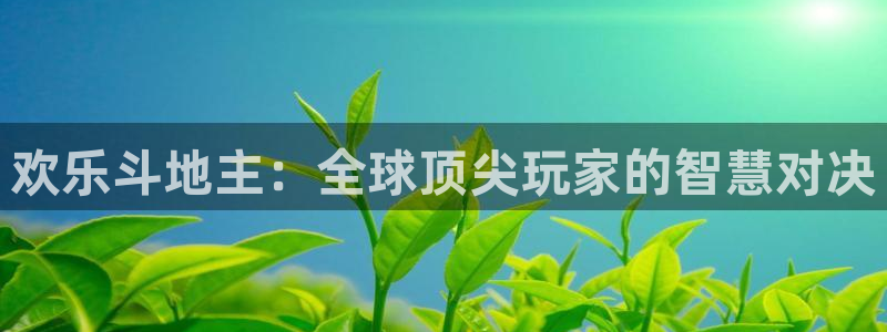 9255tv直播nba在线直播：欢乐斗地主：全球顶尖玩家的智慧对决