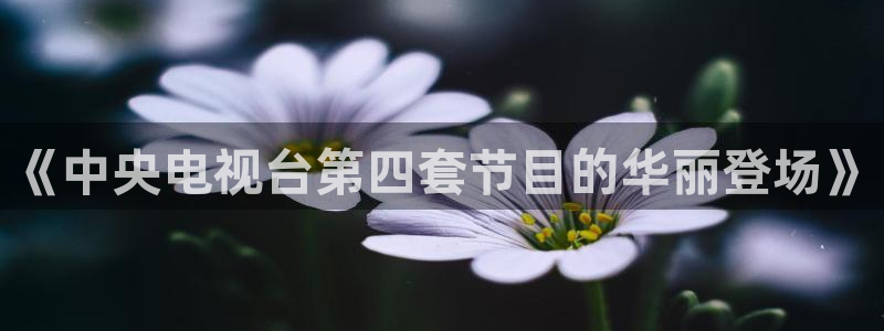 9255tv直播无插件nba：《中央电视台第四套节目的华丽登场》