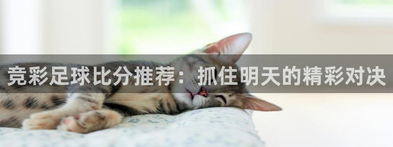 9255tv直播无插件nba：竞彩足球比分推荐：抓住明天的精彩对决
